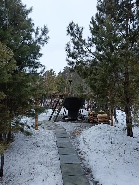 Темный домик на опушке леса