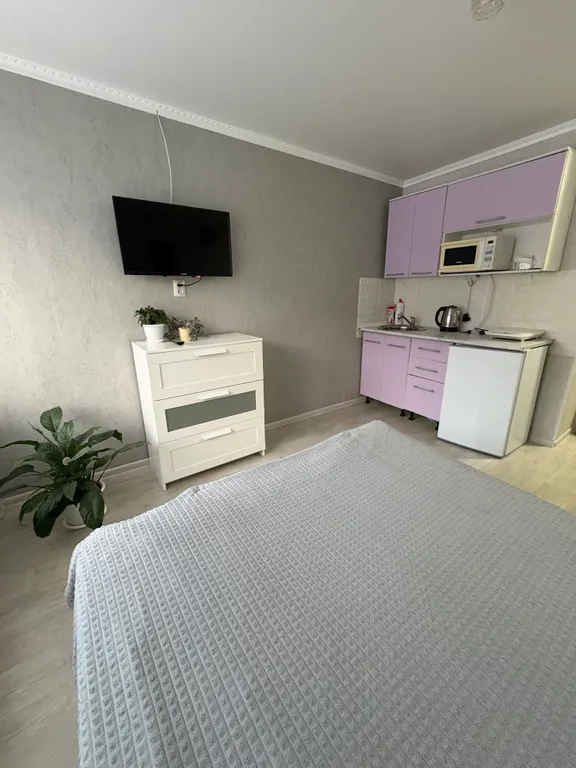 Студия в центре