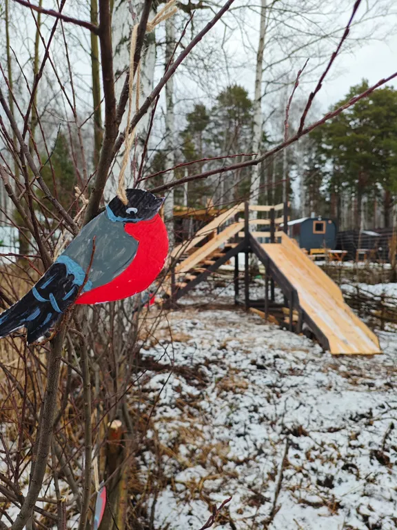 Дворик леса