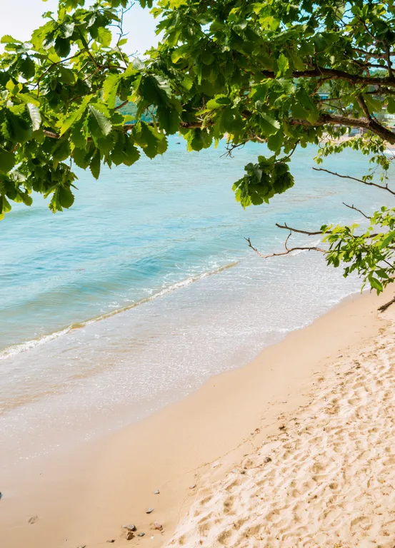 Четырёхместный номер с террасой, первая линия от моря, номер семейный