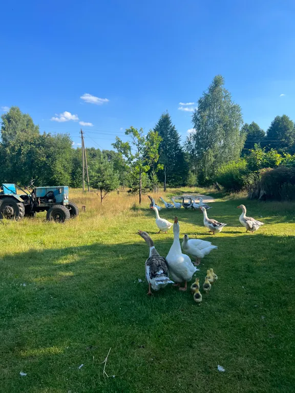 Агроусадьба Пралеска