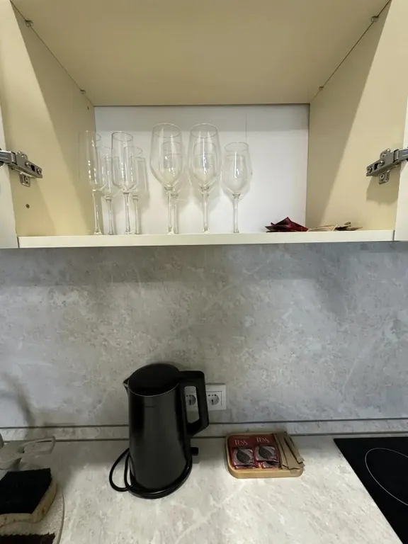 Стильные апартаменты в ЖК Гагарина 1