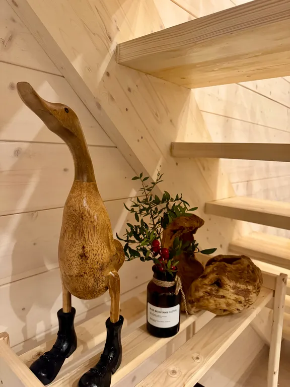 Дом с чаном и сауной в лесу