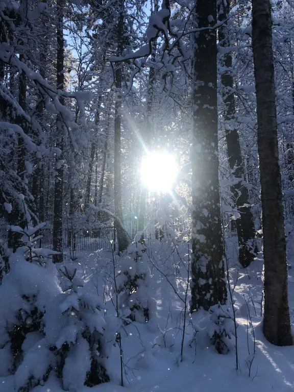 Уютный теплый дом в живописном месте
