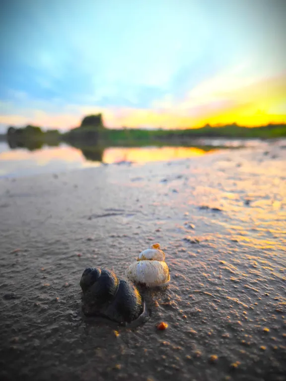 Гостевой дом №1 на берегу Волги