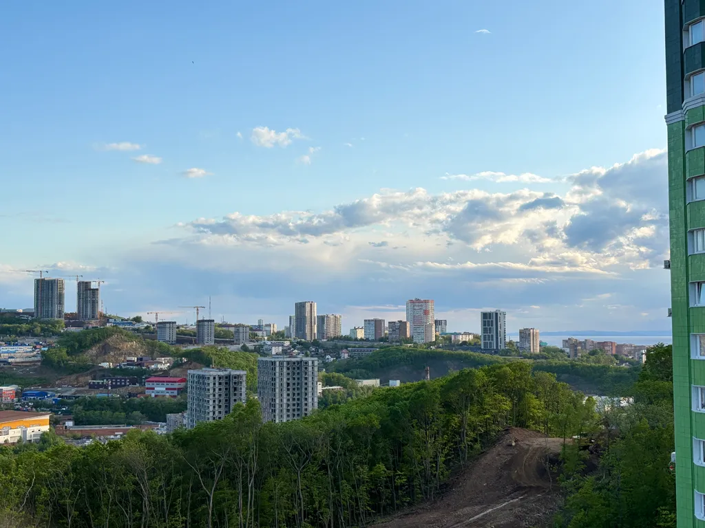 Квартира 1-комнатная Квартира — Владивосток