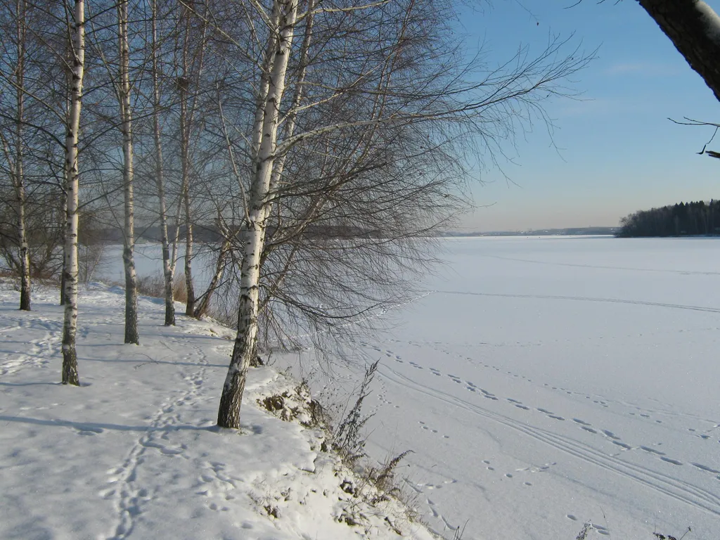 Коттедж Уютный домик на берегу водохранилища — Чиверёво