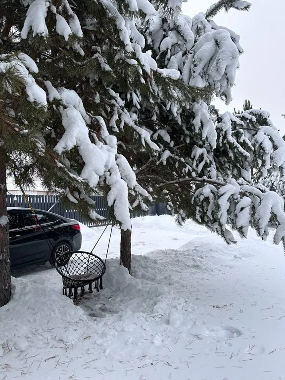 Домик с баней в лесу