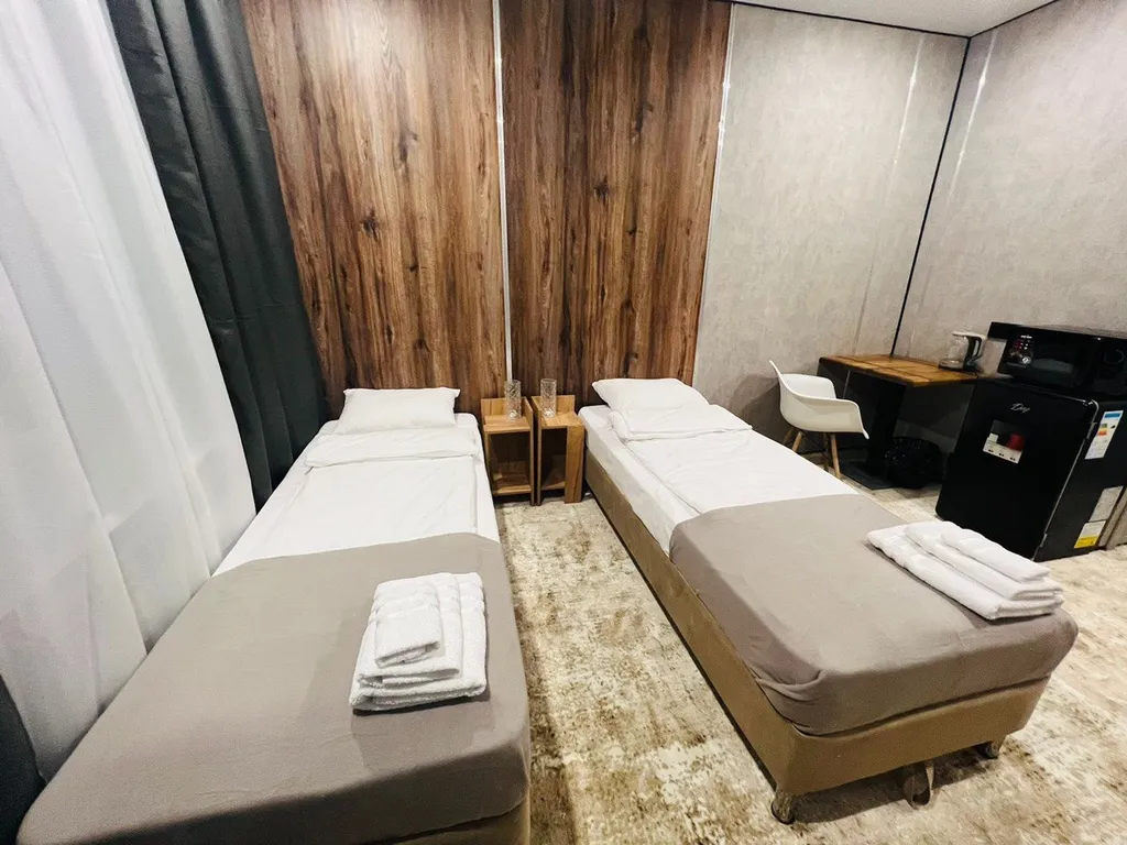 Двухместная студия с видом на горы и двумя отдельными кроватями.