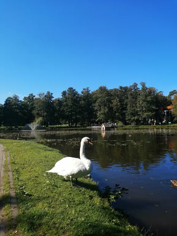 Квартира Квартира возле парка — Зеленоградск