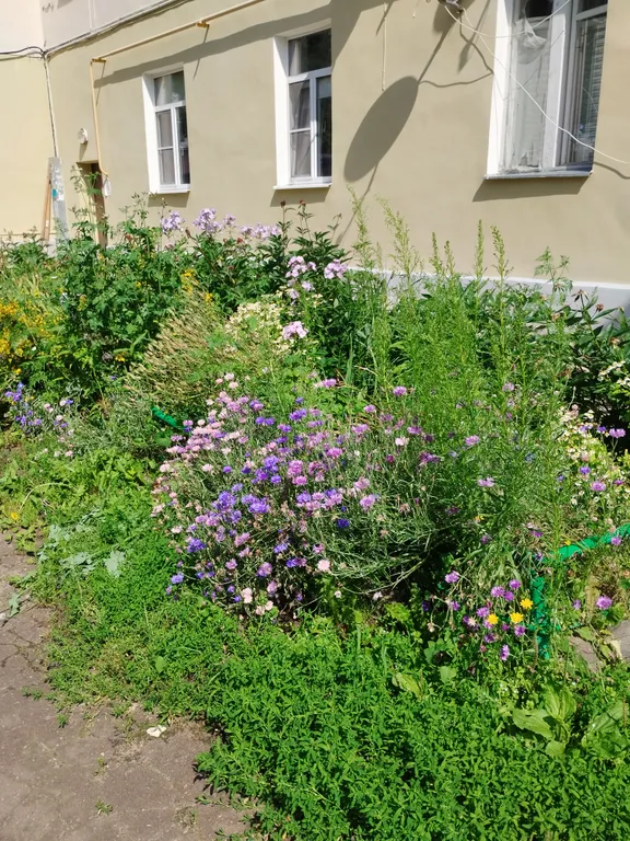 Уютная квартира в историческом центре