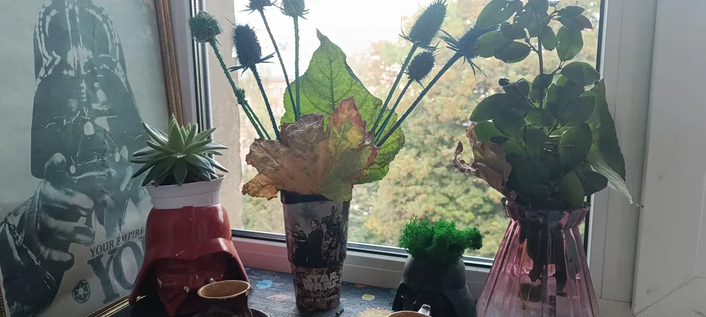 Квартира Star wars