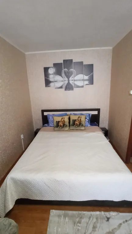 Комфортная квартира в центре города