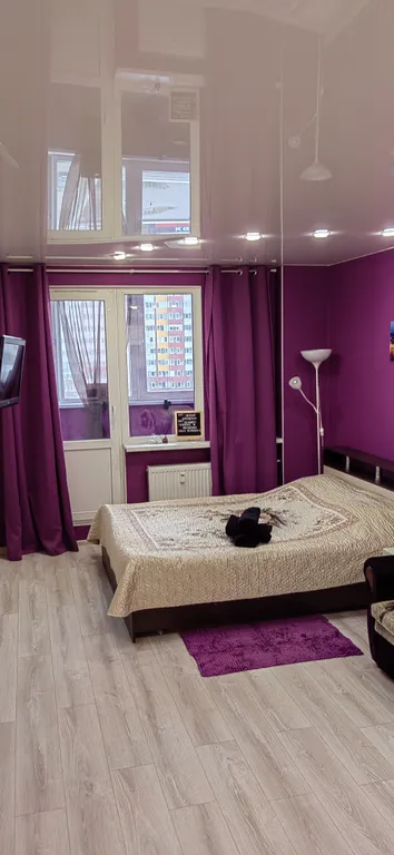 Квартира Квартира Небольшая яркая студия — Шушары