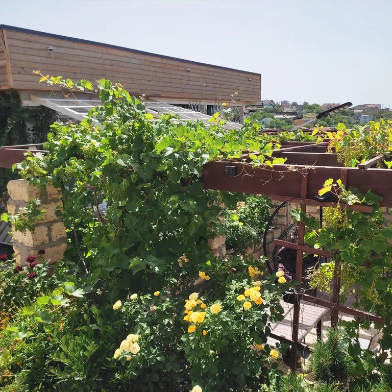 Дом с бассейном на Азовском море Виноград