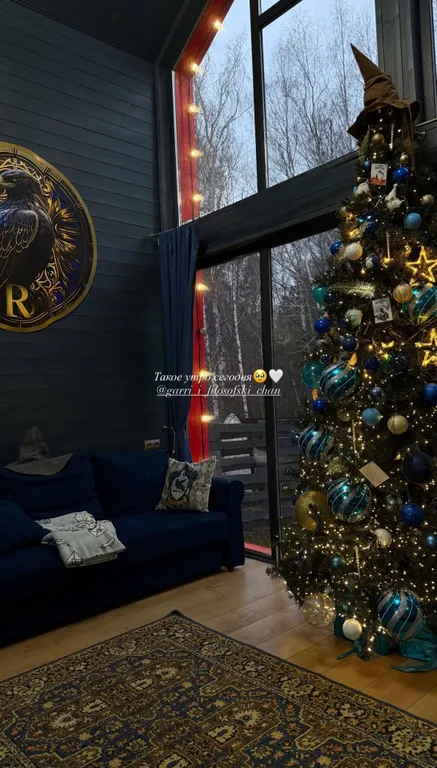 Дом Когтевран