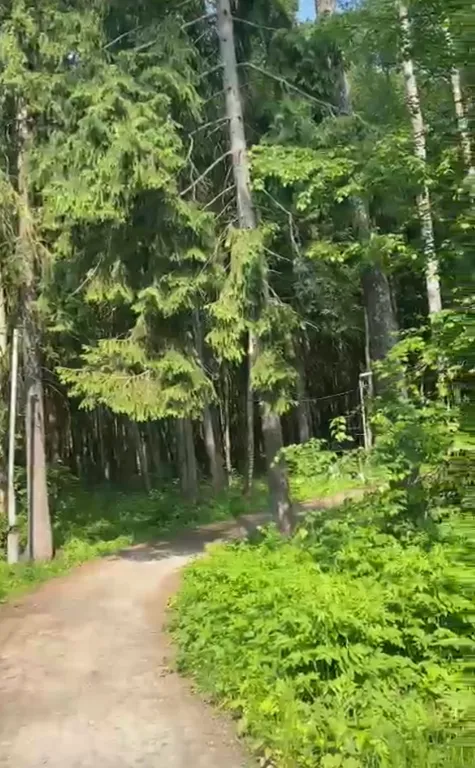 Дом для семейного отдыха