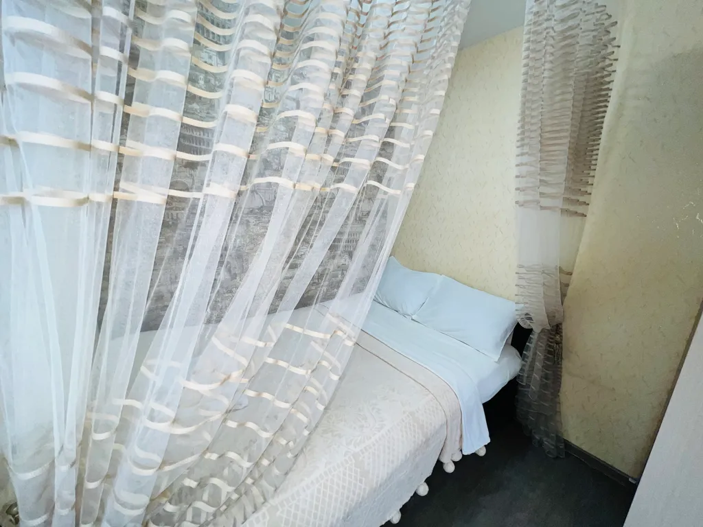 1-комнатная квартира в деловом и историческом центре города с новогодней елкой