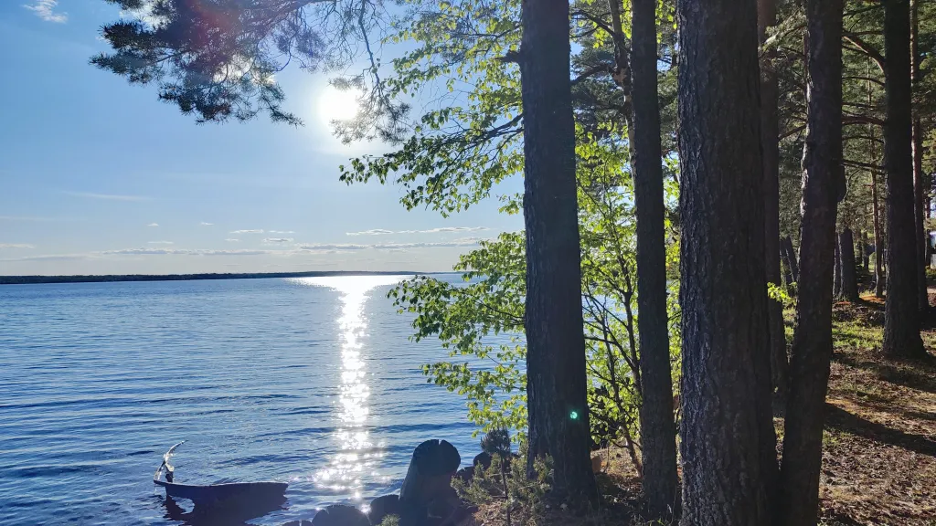 Коттедж Дом с баней, банным чаном, детской площадкой и батутом у озера в сбору — Ланино