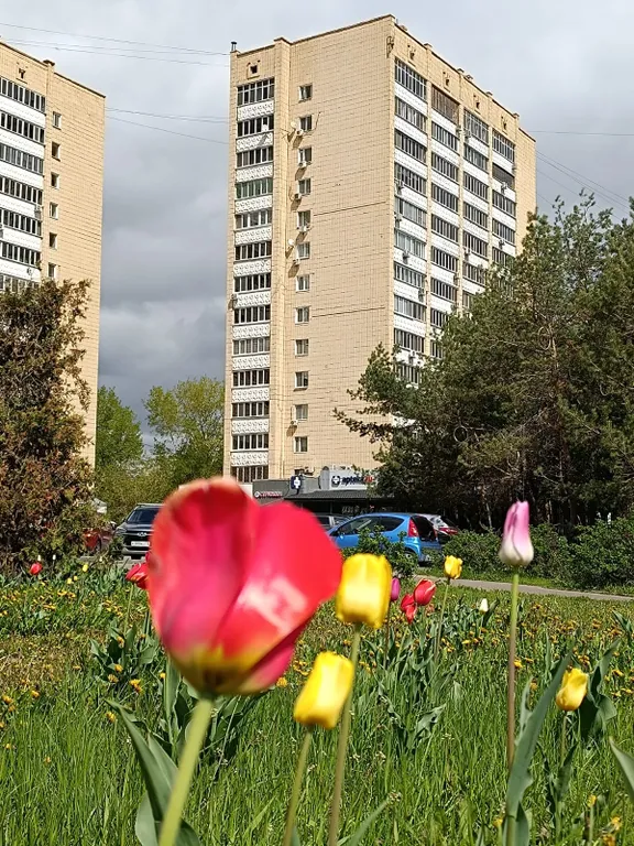 Квартира Уютная квартира с видом на Кремль около метро — Казань