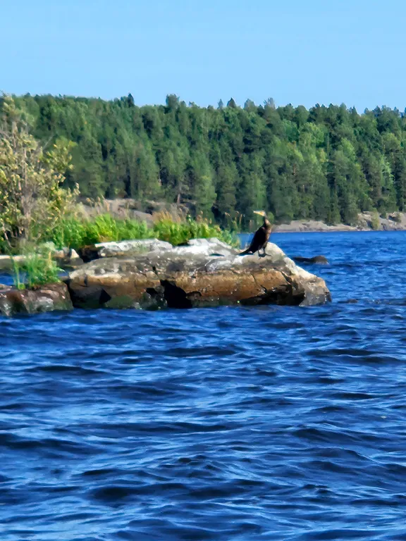 Малый дом на медовом ранчо в Карелии - отдых с пользой для здоровья