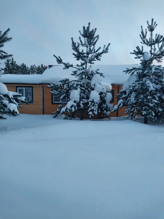 Уютный дом на 1 линии о. Cелигер