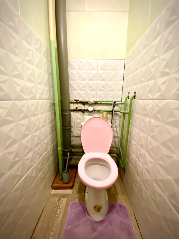 Уютная по-домашнему квартира возле Планеты