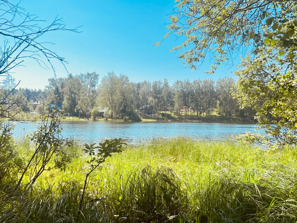 Коттедж Новый уютный дом с кондиционером на опушке леса в 20 минутах от города — Санкт-Петербург