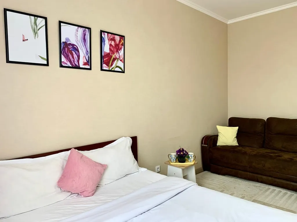 Уютные и чистые апартаменты на Туране