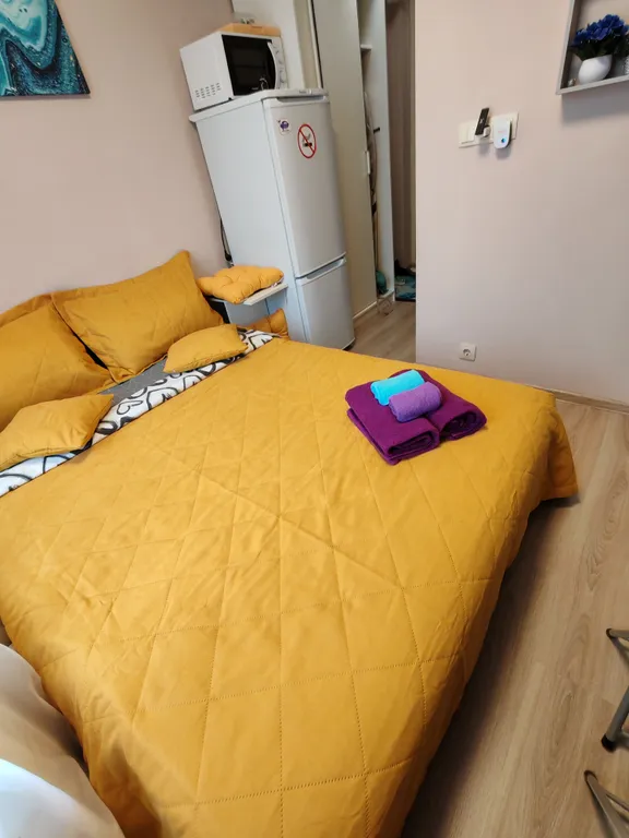 Квартира Квартира Квартиры у Милы — Москва