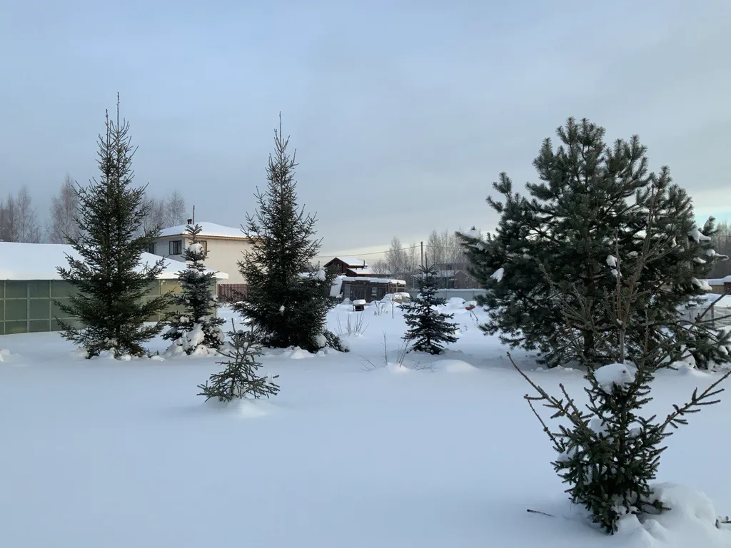 Дом-баня в деревенском стиле