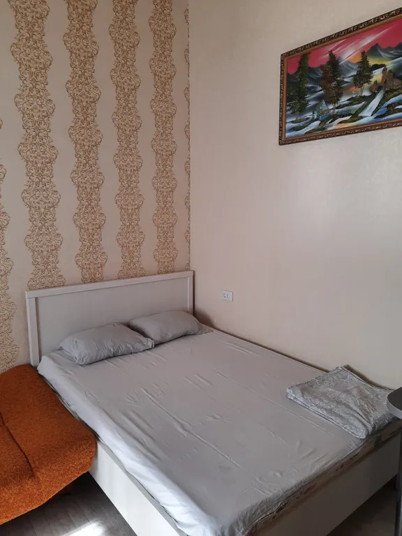 1-комнатная квартира в парке Фрунзе