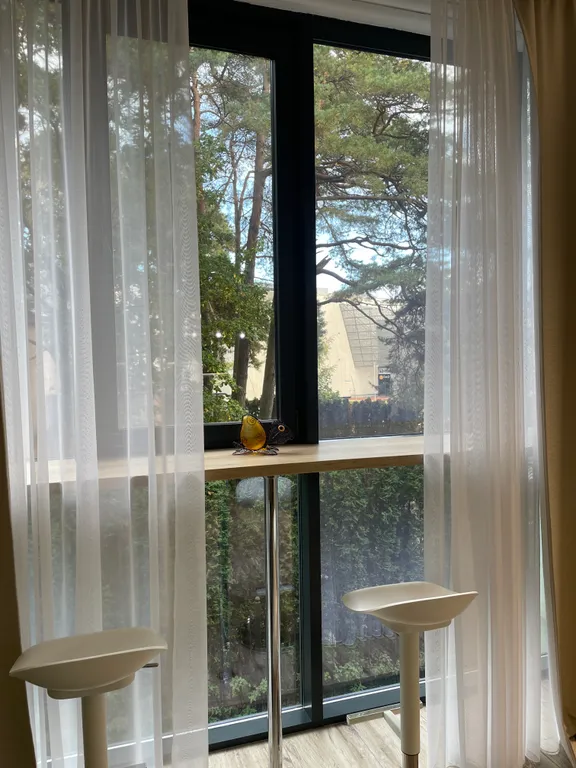 Квартира Квартира Саквояж — Светлогорск