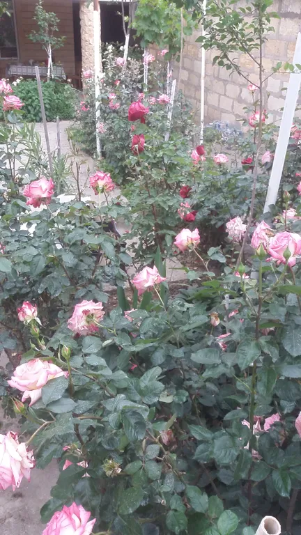 Часть дома или комнаты