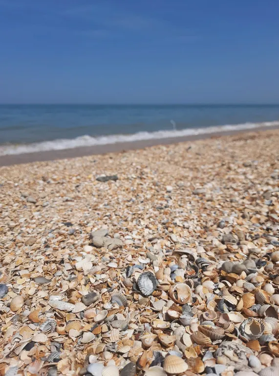 Уютный апартамент со своей кухней