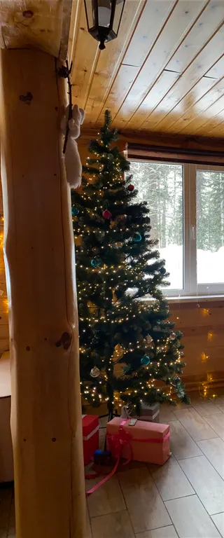 Гостевой дом У ручья, расположенный в кедровом бору