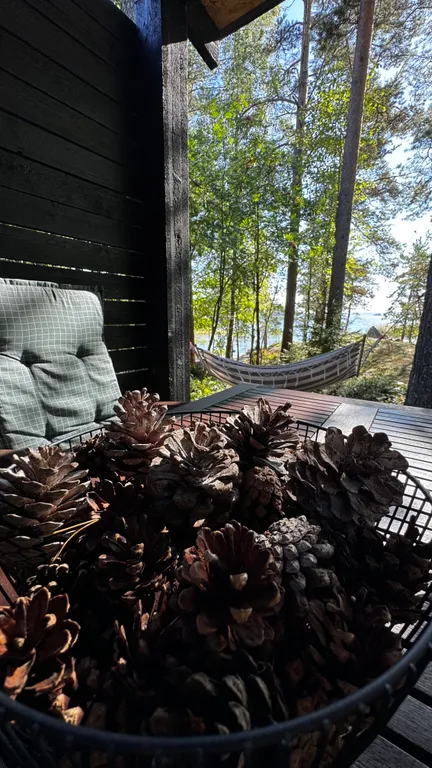 Стильный дом на берегу Ладожского озера с панорамным видом