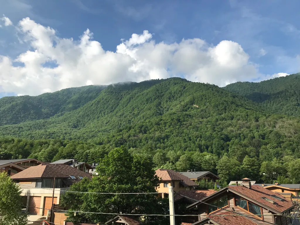 Апартамент шестиместный семейный