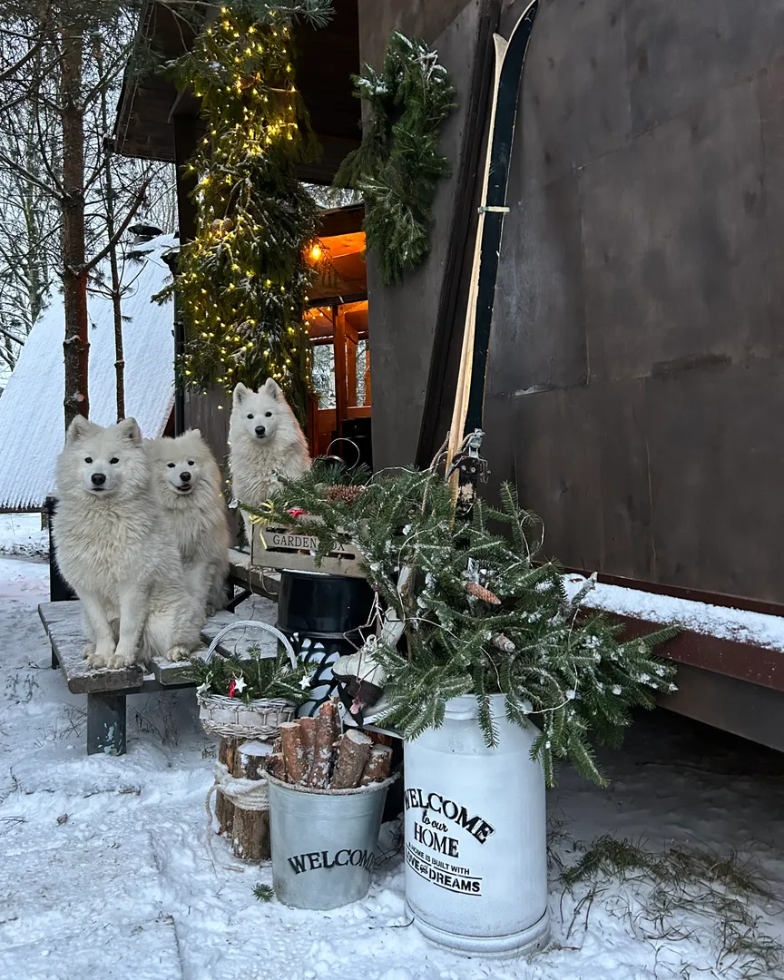 Коттедж посуточно, Разметелево, Ласточкин переулок, 3, объявление 1221699 —  Суточно.ру