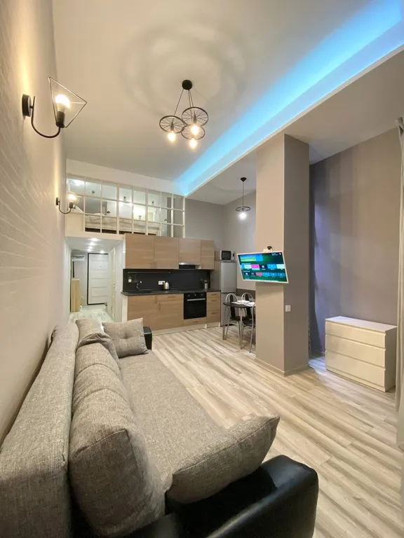 Уникальные апартаменты с выходом на кровлю ТЦ Галерея