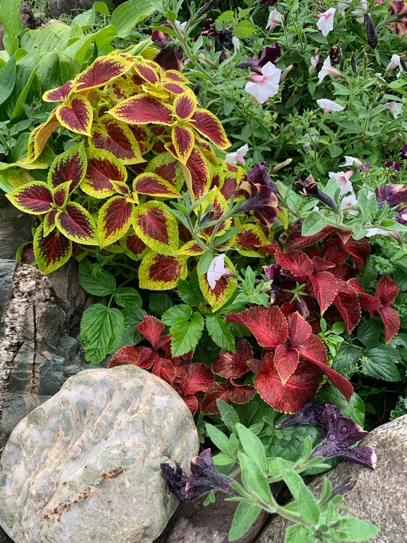 Дом на Алтае рядом с горами и рекой Бия