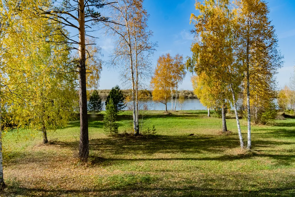 Комфортный дом у реки