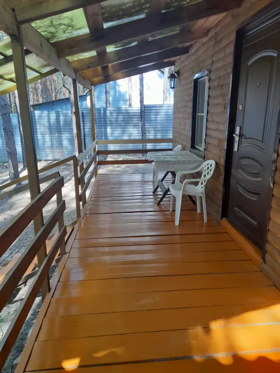 Дом в сосновом лесу