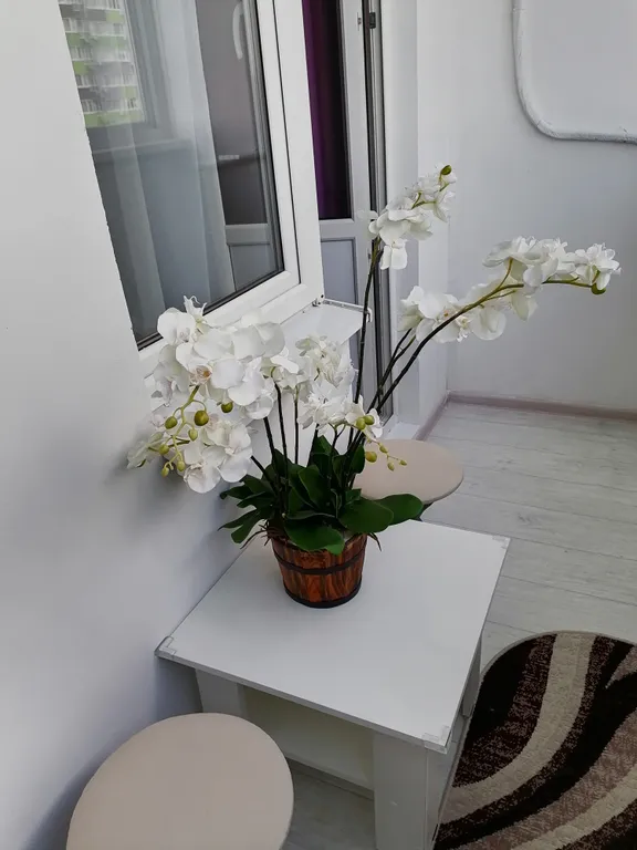 Уютная квартира студия около парка Галицкого и стадиона Краснодар