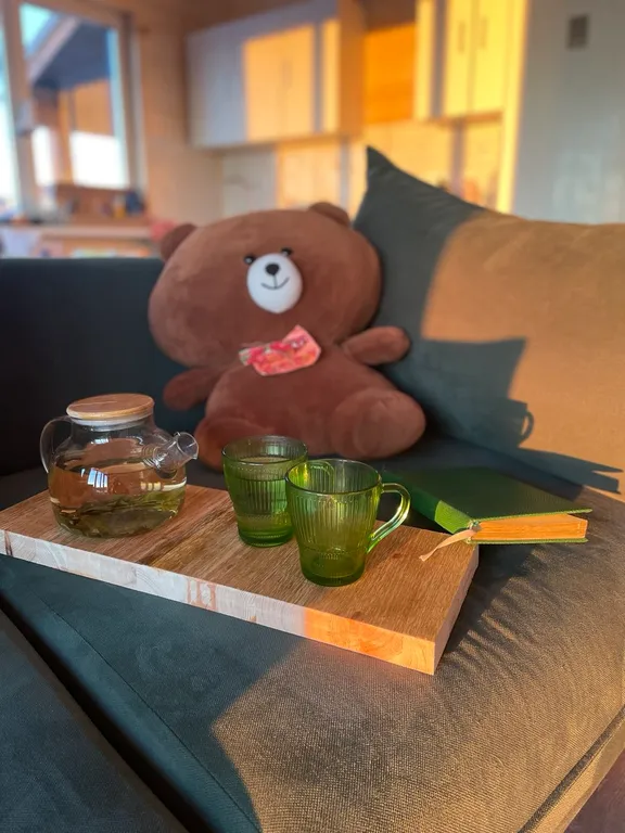 Дом на реке и краю соснового леса