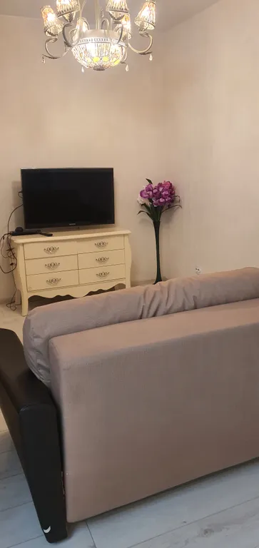 Квартира 1-комнатная Квартира — Пушкин