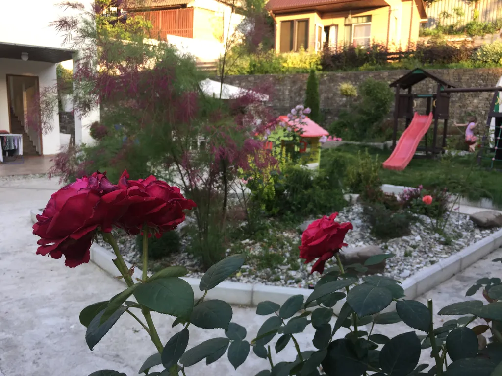 Двухкомнатные апартаменты на первом этаже в частном доме