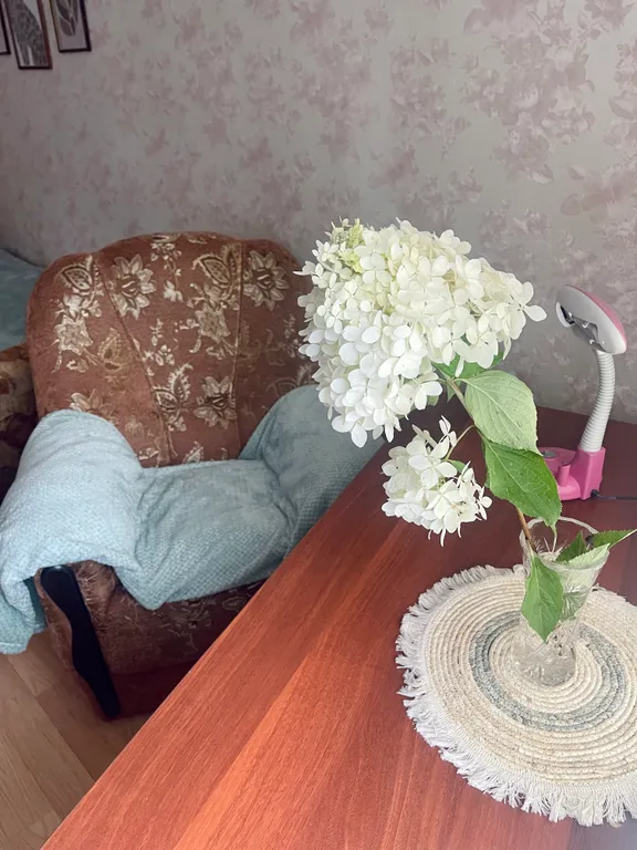 Квартира Уютная двухкомнатная квартира в самом центре — Великий Новгород