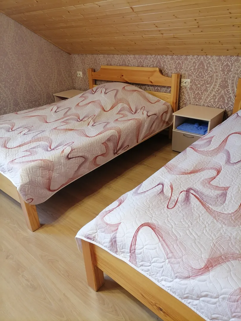 Комната на 3 гостей с 2 кроватями :двуспальная и односпальная 