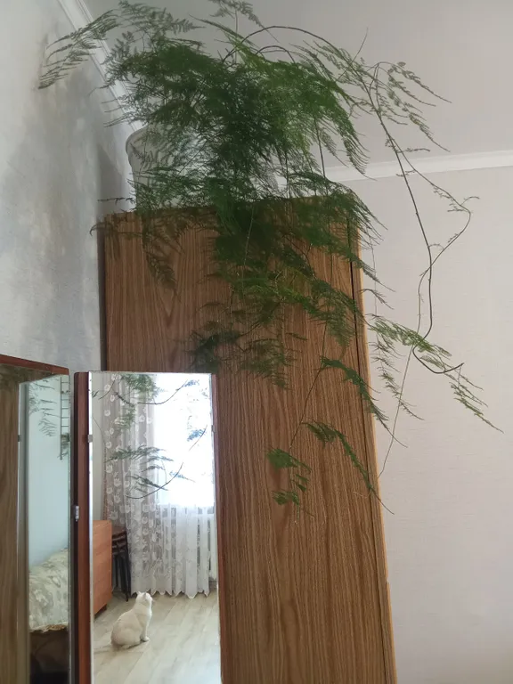 Теплая и светлая комната